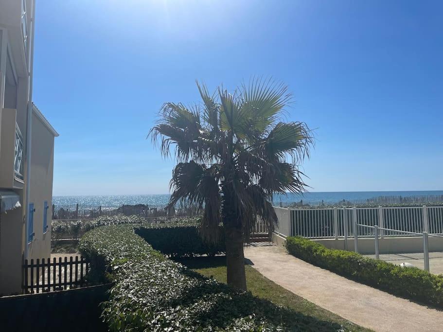 Appart Frontignan Sur La Plage, Piscine, Wifi, Tv, Netflix Luaran gambar